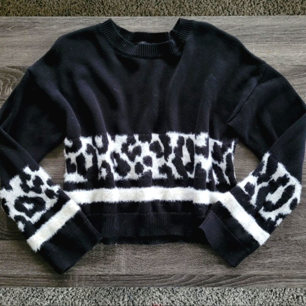 Express Cropped Sweater